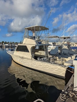Key West Sportfishing Adventure