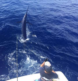 Maui Sportfishing