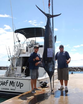 Maui Sportfishing