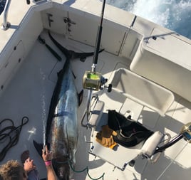 Maui Sportfishing
