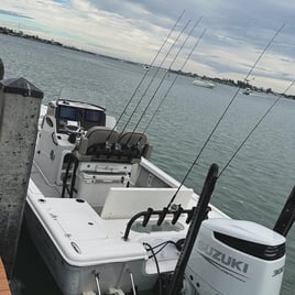 Scalloping Trip Homosassa