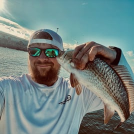 Gulfport Surf Fishing Trip