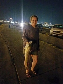 Gulfport Surf Fishing Trip