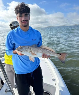 Jacksonville Quick Trip