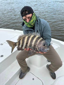 Jacksonville Quick Trip