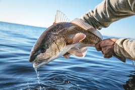 Redfish Fishing in Santa Rosa Beach, Florida