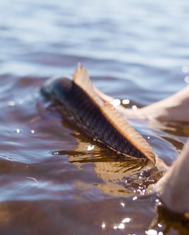 Redfish Fishing in Santa Rosa Beach, Florida