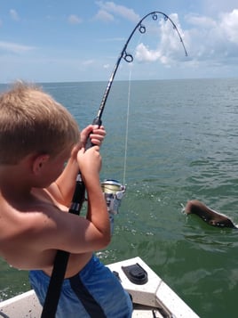 Crystal River Near and Inshore