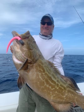 Black Grouper Fishing in Key West, Florida