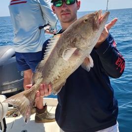 Big Ole Reds & Trout