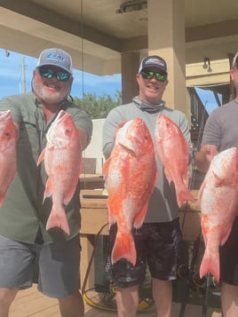 Red Snapper Adventure