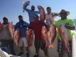 Red Snapper Adventure