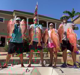 Red Snapper Adventure