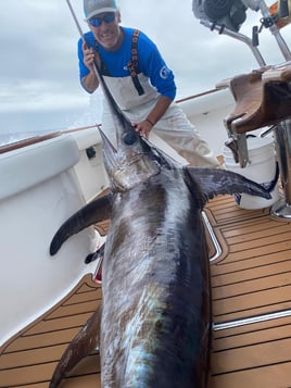 Ocean City Offshore Excitement