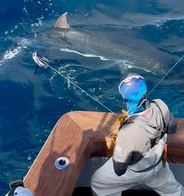 Ocean City Offshore Excitement