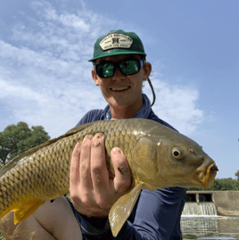 Carp and Buffalo on the Fly