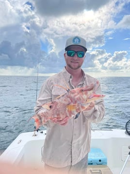 Bradenton Classic Nearshore