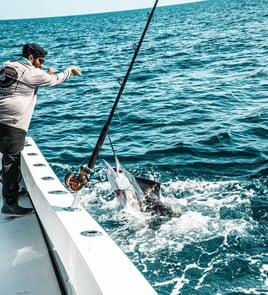 Fort Pierce Offshore Ripper