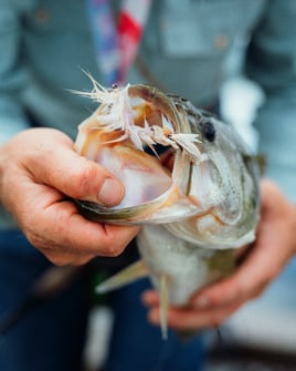 Brazos River Exclusive Access