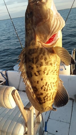 Holmes Beach Nearshore Slam