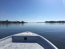 Orange Beach Inshore Bliss