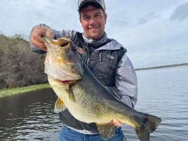 Largemouth Bass Fishing in Windermere, Florida