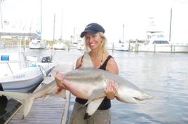 Blacktip Shark Fishing in Galveston, Texas