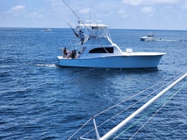 Virginia Beach Luxury Inshore