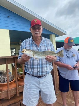 Indian River Fishing Frenzy