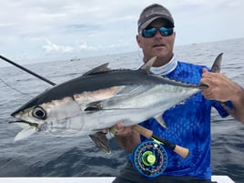 Yellowfin Tuna Fishing in Jupiter, Florida