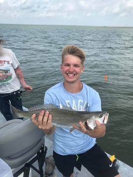 Clear Lake Speckled Trout Special