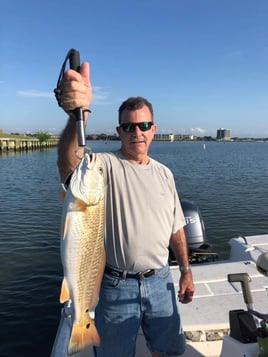 Clear Lake Fishing Trips (2 boats)