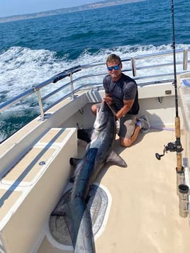 Montauk Shark Special
