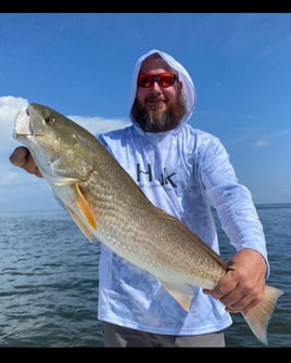 Sunny Fishing on Tampa Bay