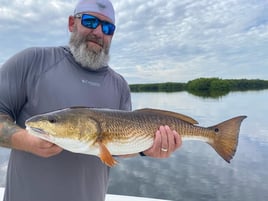Sunny Fishing on Tampa Bay