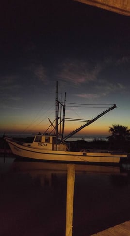 Full Day Bay Trip - 23' Bay Boat