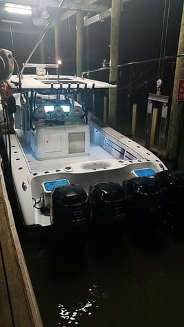 Full Day Bay Trip - 23' Bay Boat