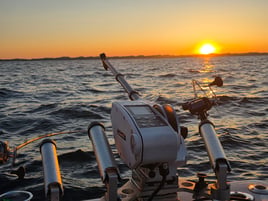 Lake Michigan Trout & Salmon