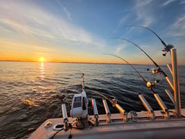 Lake Michigan Trout & Salmon