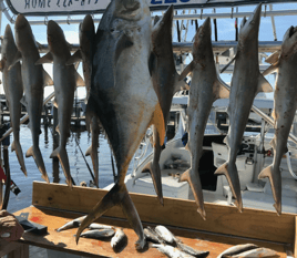 Jack Crevalle Fishing in Biloxi, Mississippi