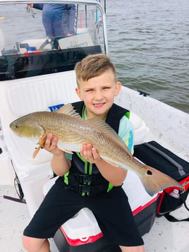 Bay/Inshore Trip - 23' Haynie