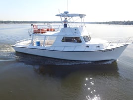 15-Person Private Charter