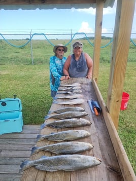 3/4 Day Bay + Jetty Adventure