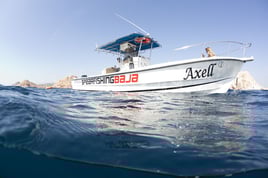 Spearfishing Baja California