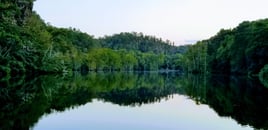 Full Day or Half Day Guided Trip