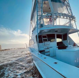 Orange Beach Tuna Expedition
