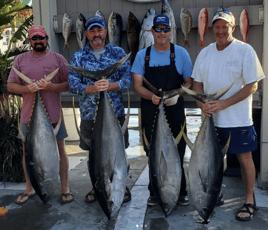 Orange Beach Tuna Expedition