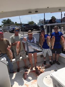 St. Pete Offshore Experience