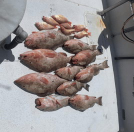 St. Pete Offshore Experience