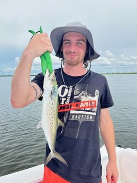 Fort Myers Inshore Fishing Trip